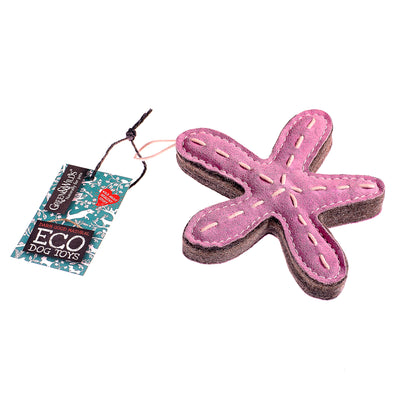 Stanley the Starfish, Eco Dog Toy